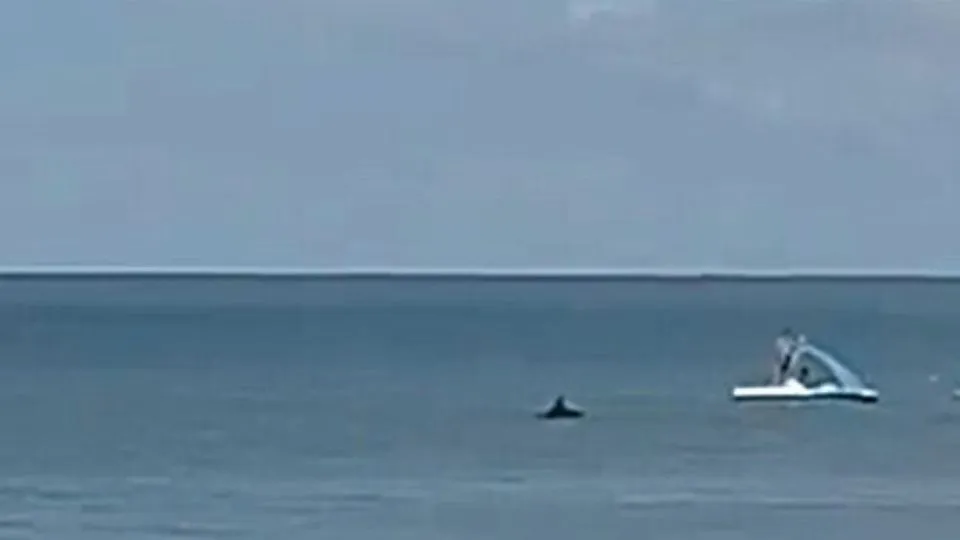 dal video su FB