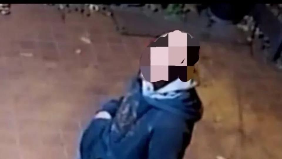 Il ladro immortalato dalle telecamere