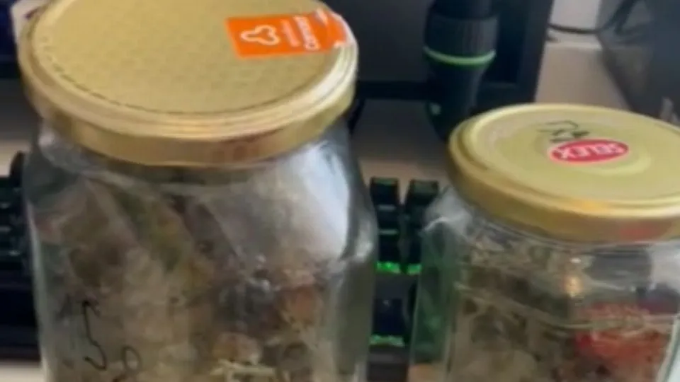 alcuni barattoli sequestrati con all’interno la marijuana