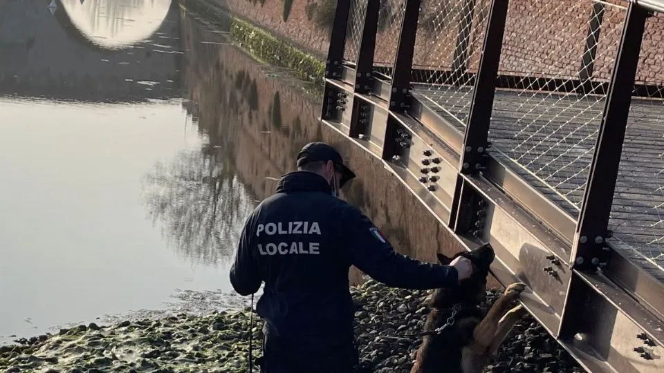 servizio unit cinofile polizia locale