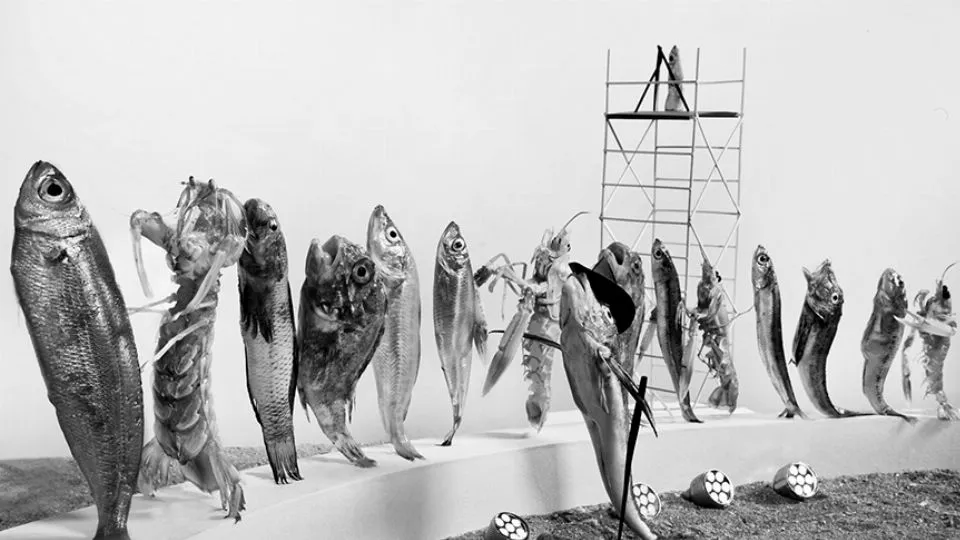Fellini 8½
