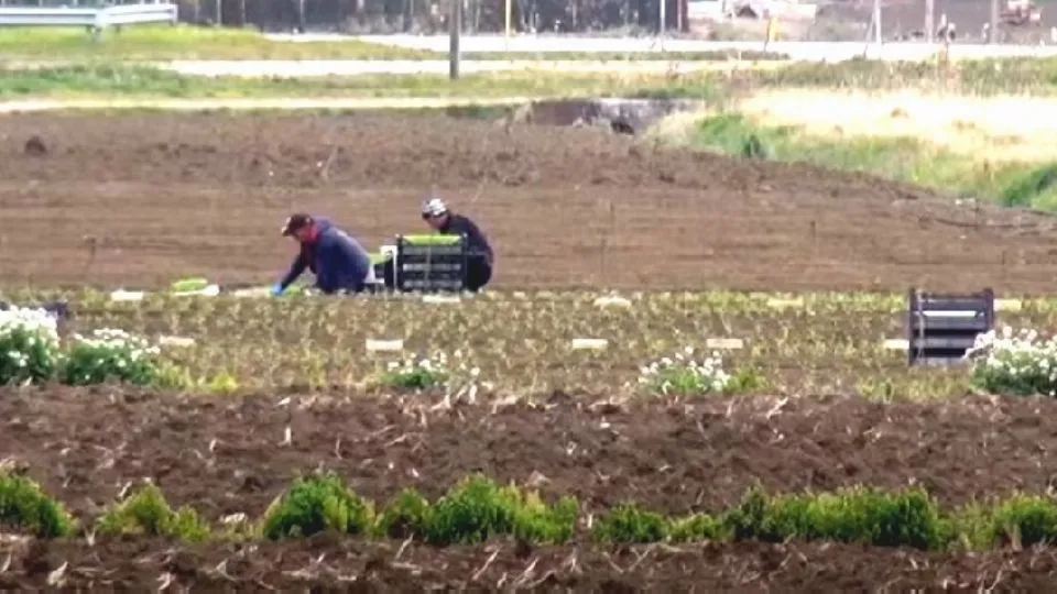 agricoltori a Rimini nord (@newsrimini)