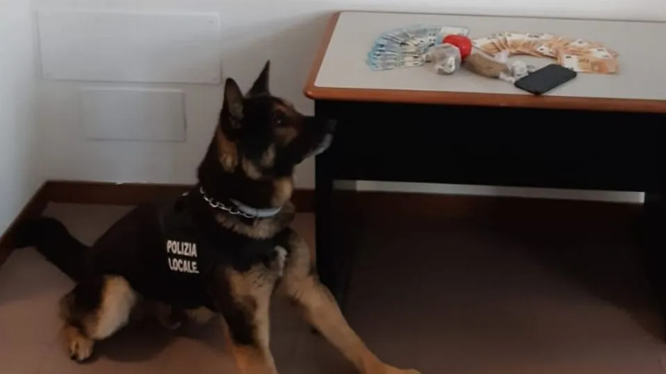 il fiuto del cane antidroga ha permesso di scovare l’hashish
