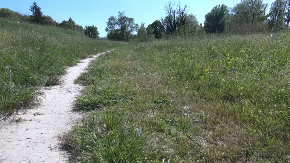 il parco Marecchia (Newsrimini.it)