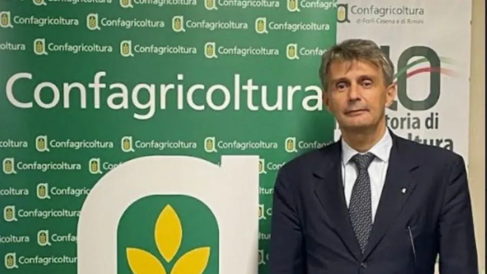 Luca Gasparini
