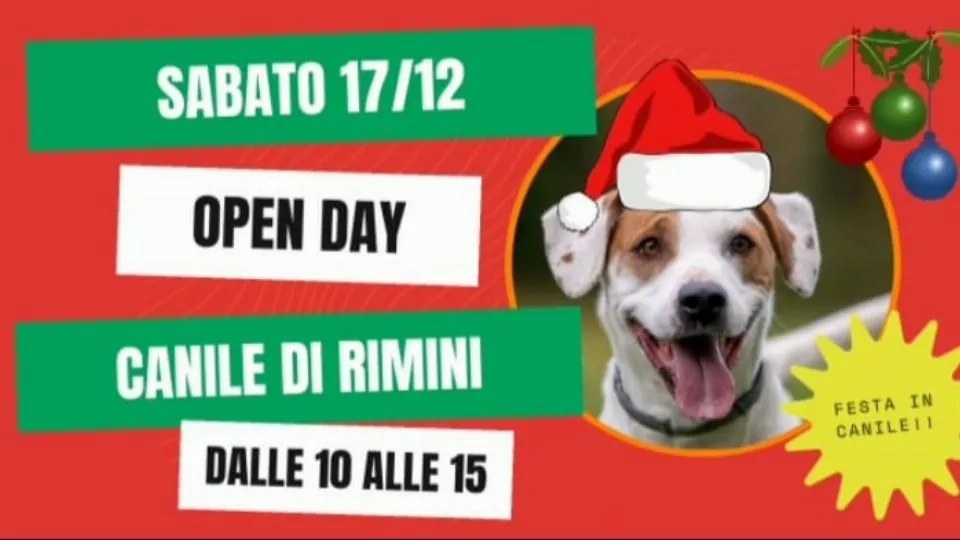 Open Day al canile
