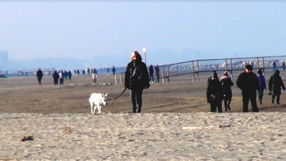 la spiaggia di Rimini oggi