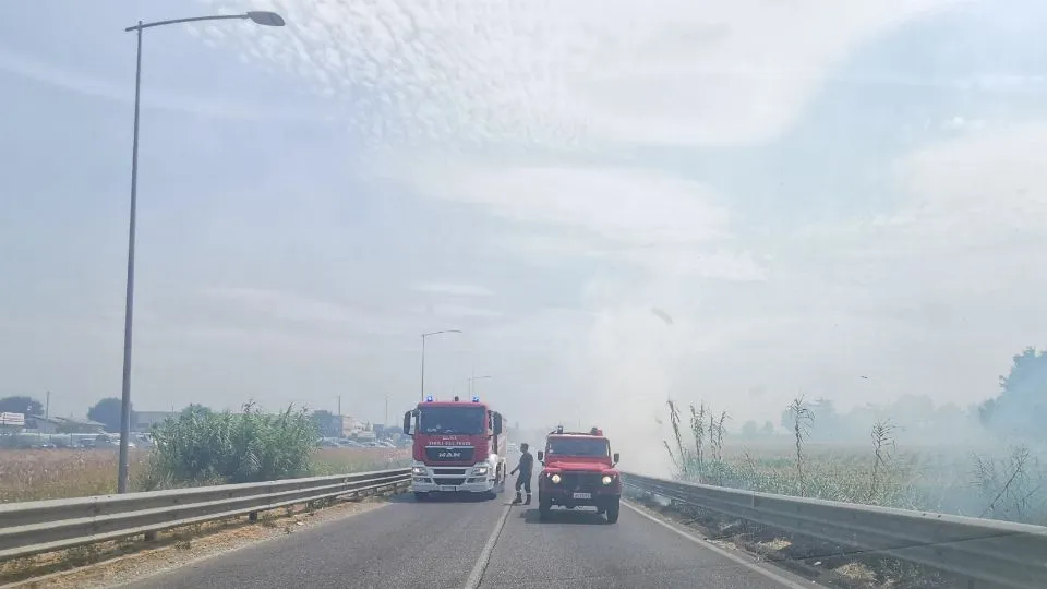i vigili del fuoco sul posto
