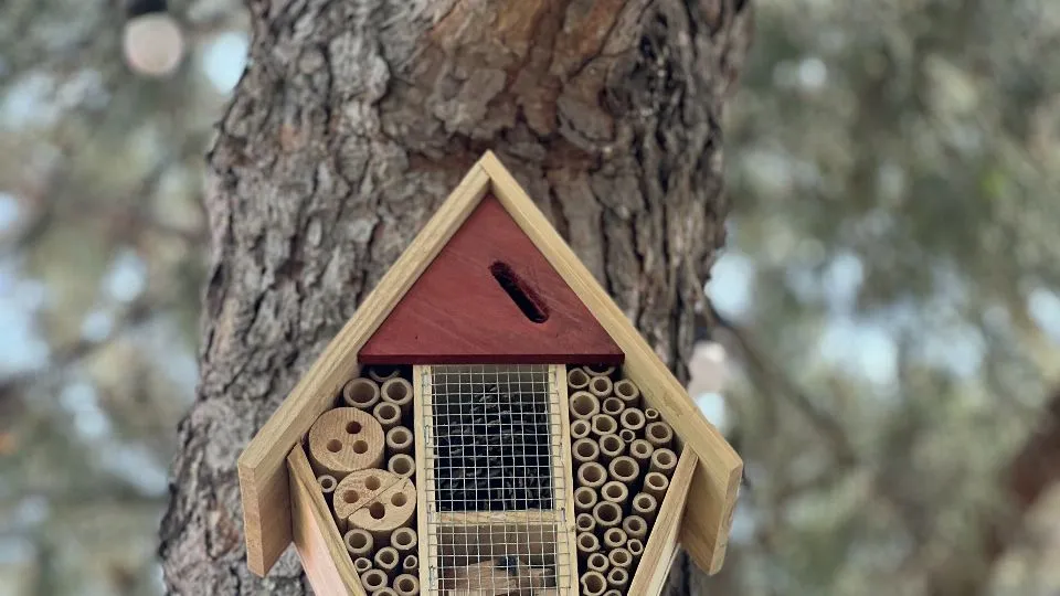 Bee hotel