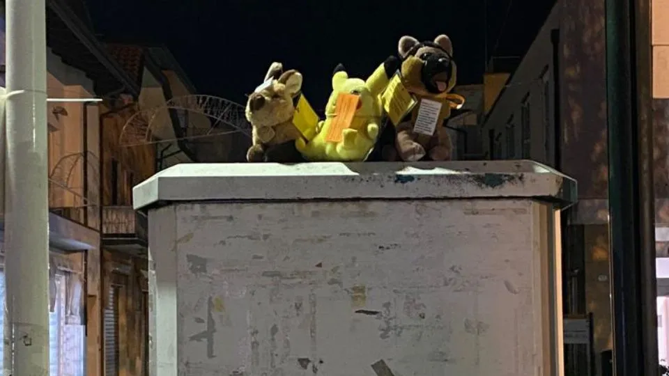 alcuni Teddy lasciati su una pensilina