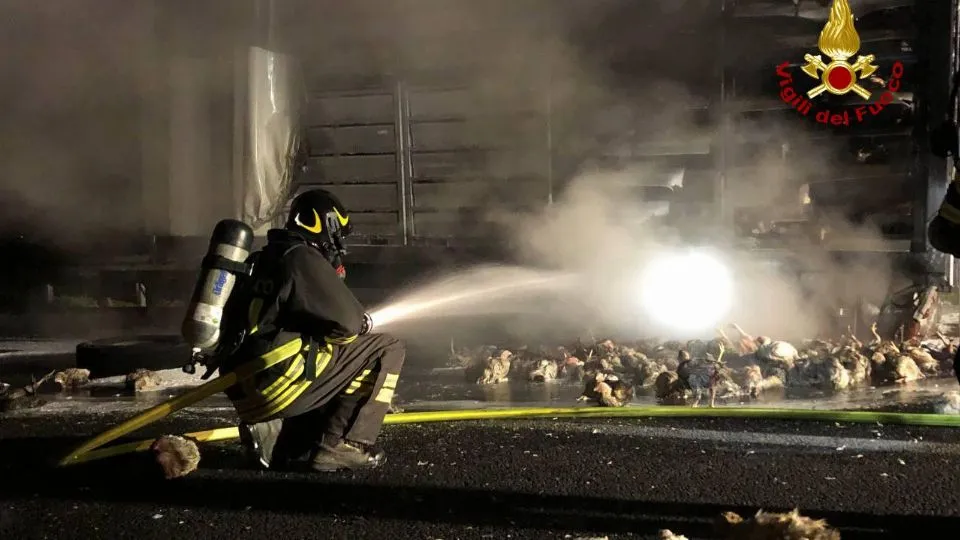 l’intervento dei Vigili del Fuoco