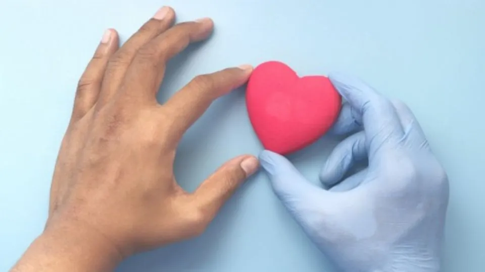 donazione di organi
