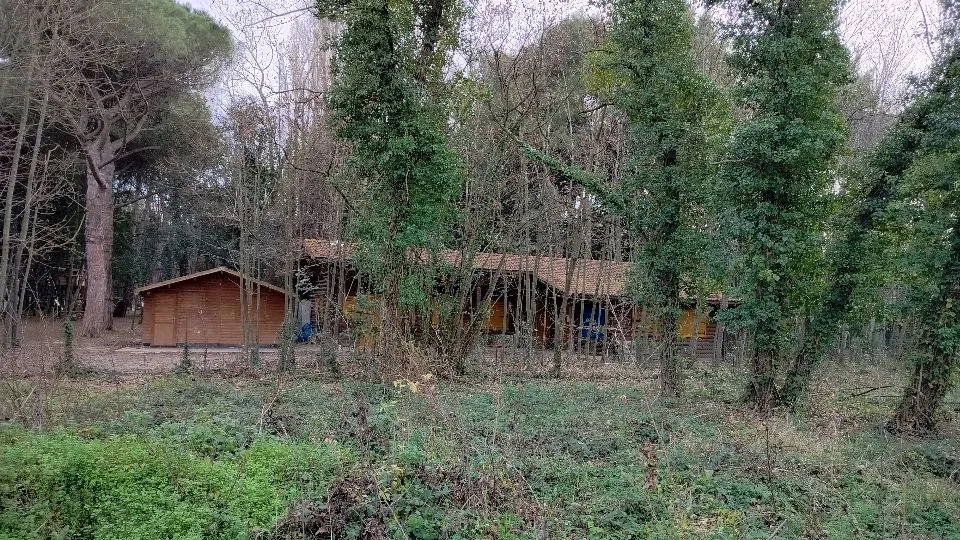 la casetta degli scout all’arboreto Cicchetti