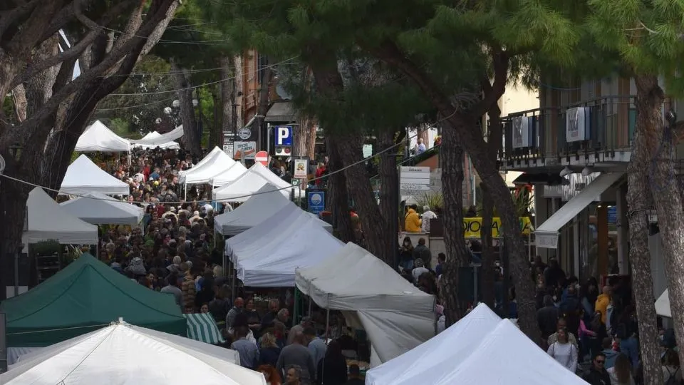 L’edizione 2022 di Cattolica in Fiore