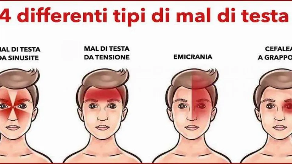 repertorio