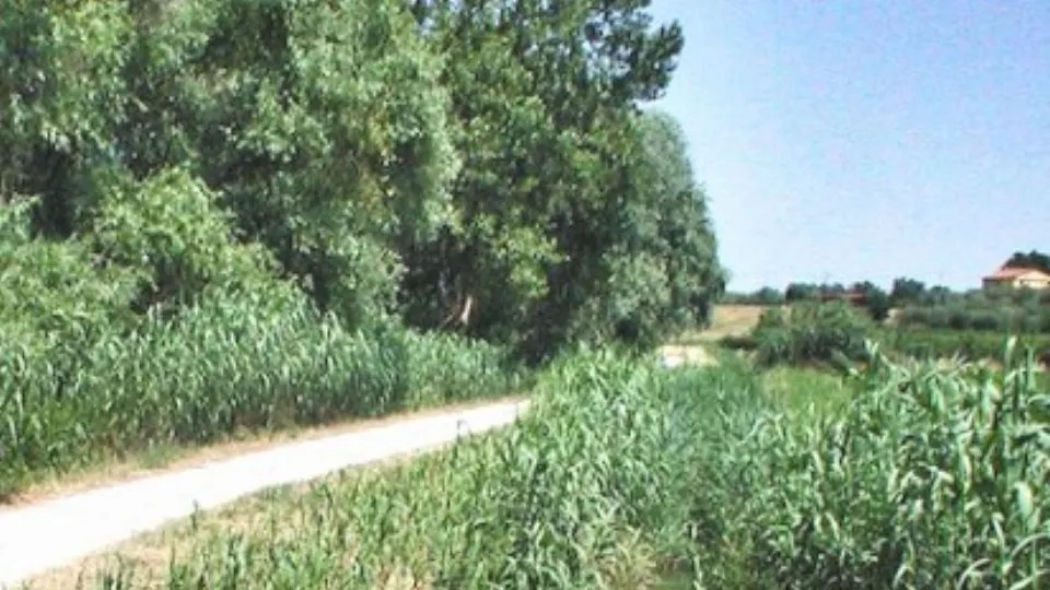 la ciclabile