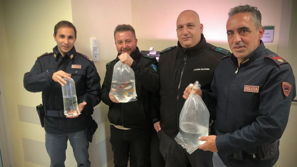 una donazione