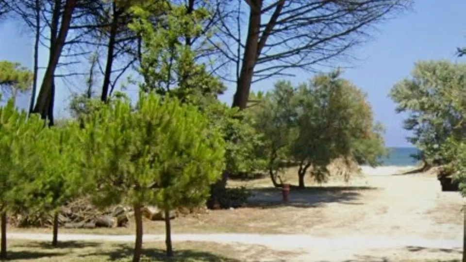 la spiaggia di Zadina