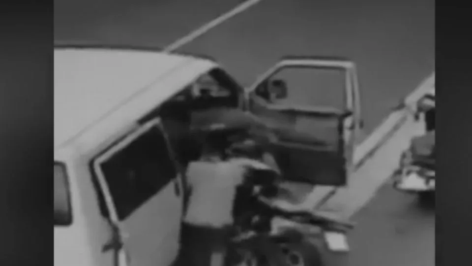 i ladri immortalati dalle telecamere 
