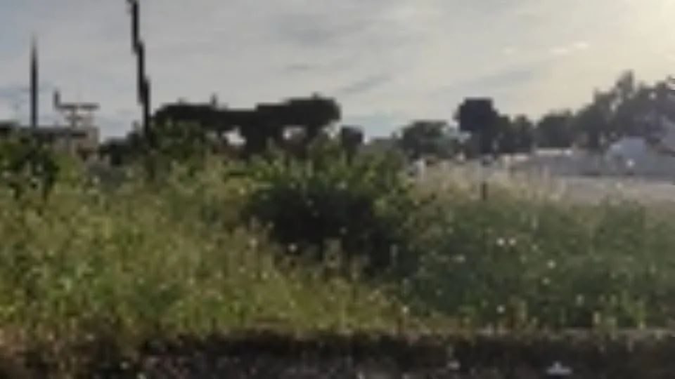 ss72