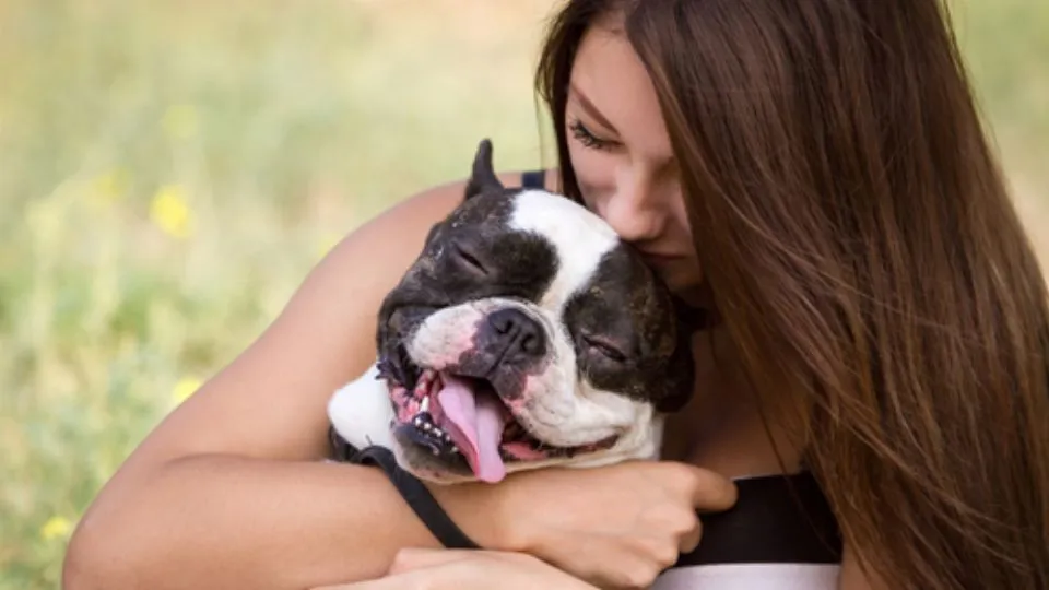 un cane felice
