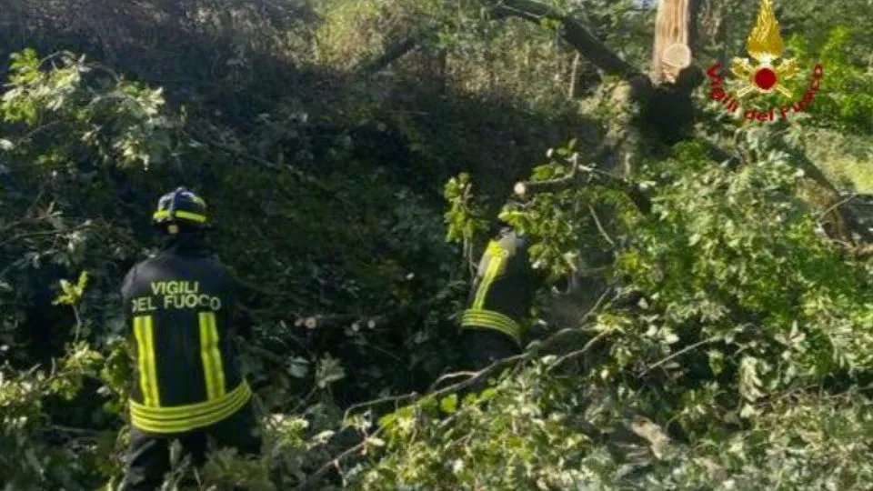 un intervento dei Vigili del Fuoco
