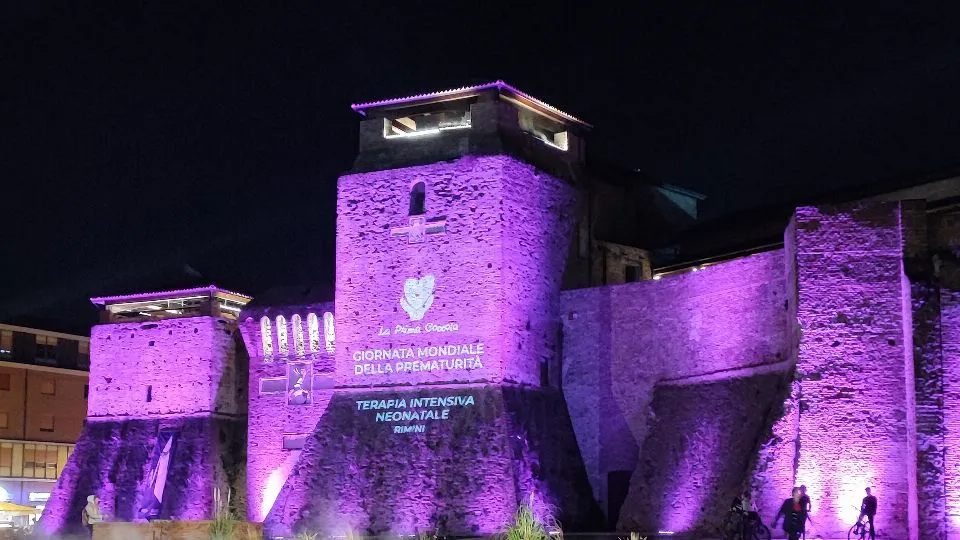 Castel Sismondo in viola