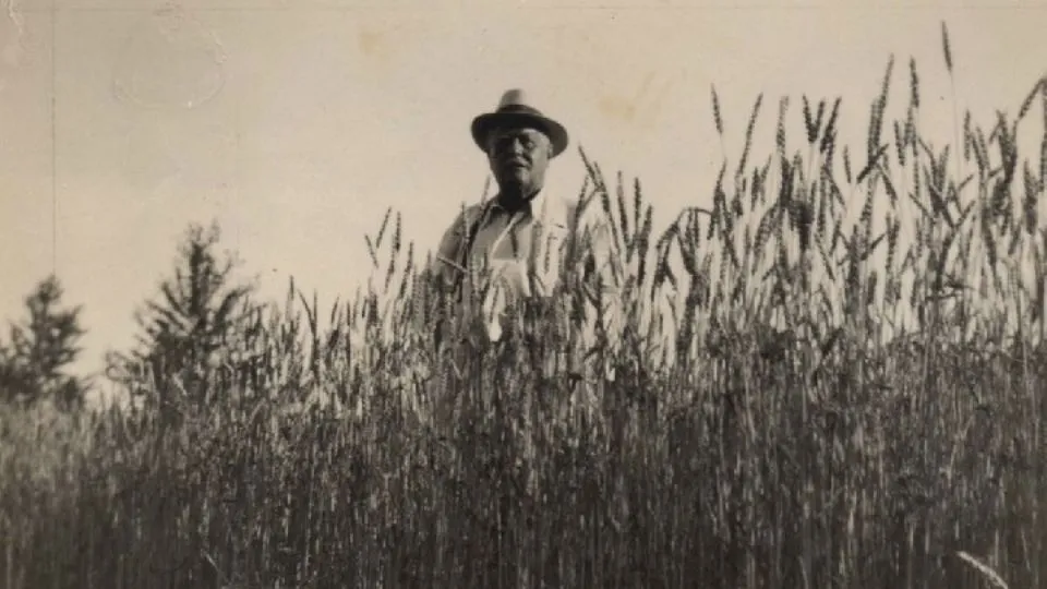 Alfredo Panzini (Archivio Panzini – Comune di Bellaria Igea Marina)
