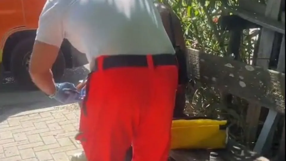 dal video