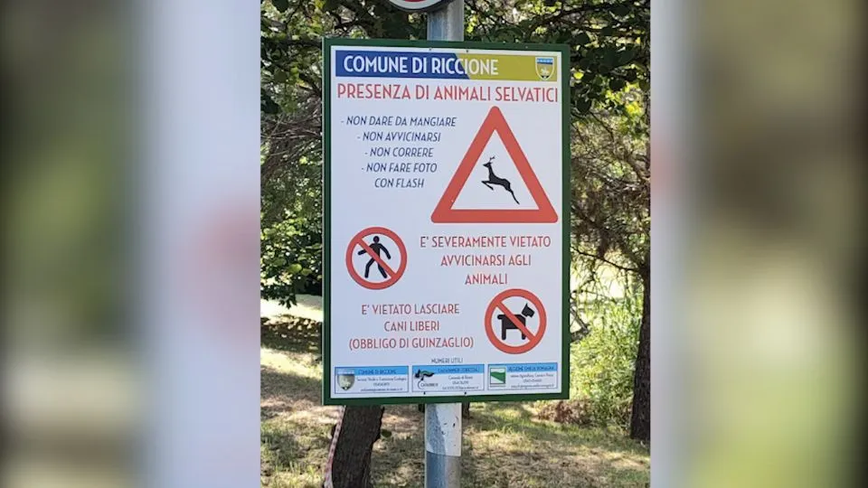 il cartello nel parco