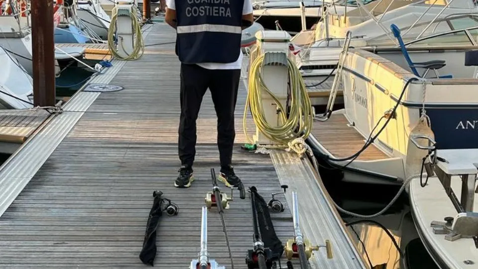 le canne sequestrate
