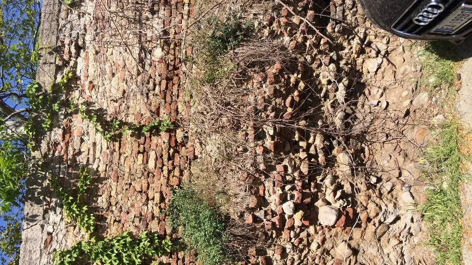 le mura federiciane
