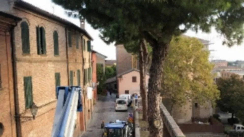 prove trazione sui pini a Santarcangelo