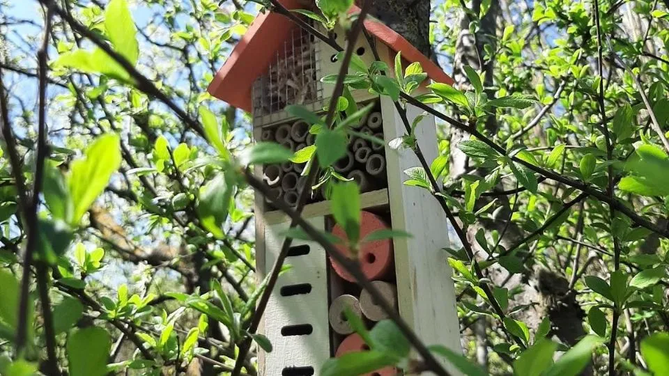 un Bee Hotel