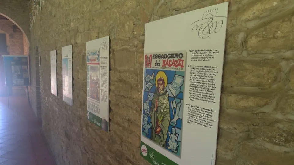 la mostra
