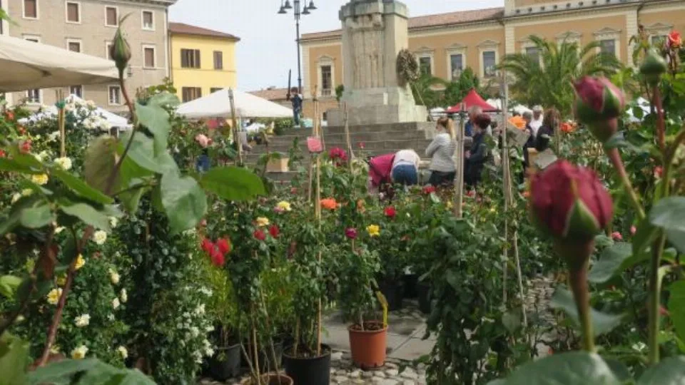 Balconi Fioriti a Santarcangelo