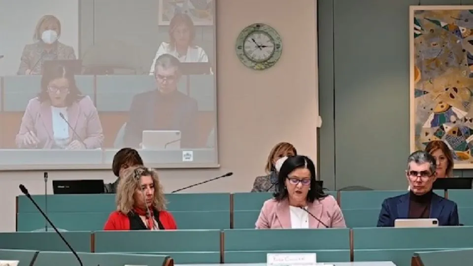 la seduta della Commissione
