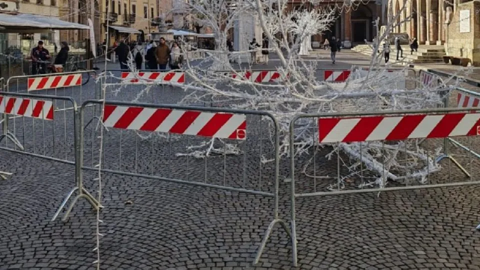 @newsrimini