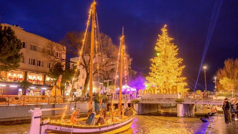 Saviolina e albero