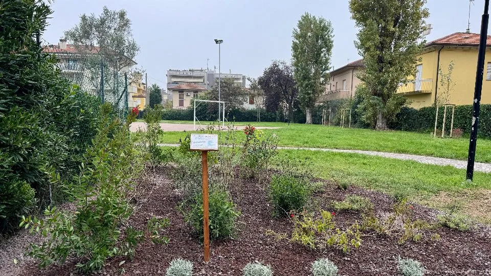 l’arboreto