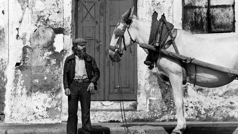 Portogallo 1989
