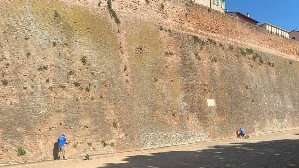 gli esperti all’opera
