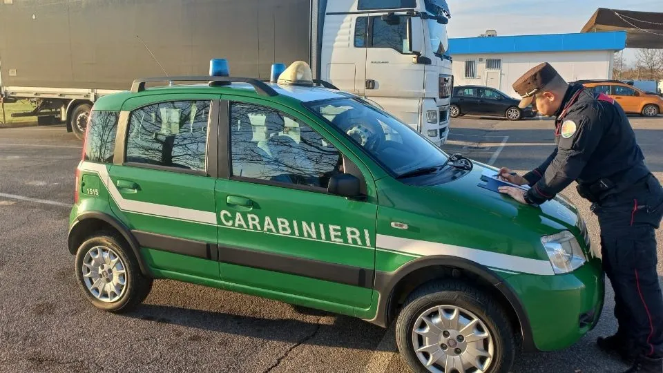 i carabinieri forestali
