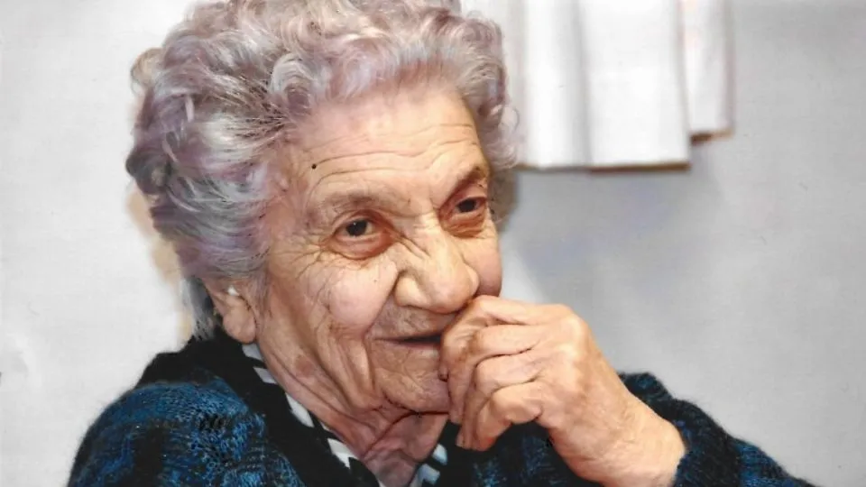 Attilia, Bibi
