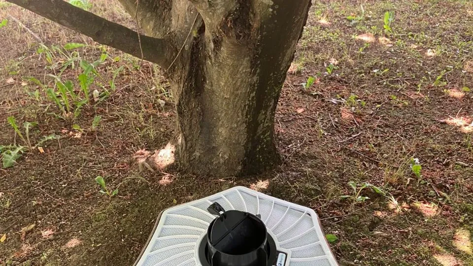 una trappola
