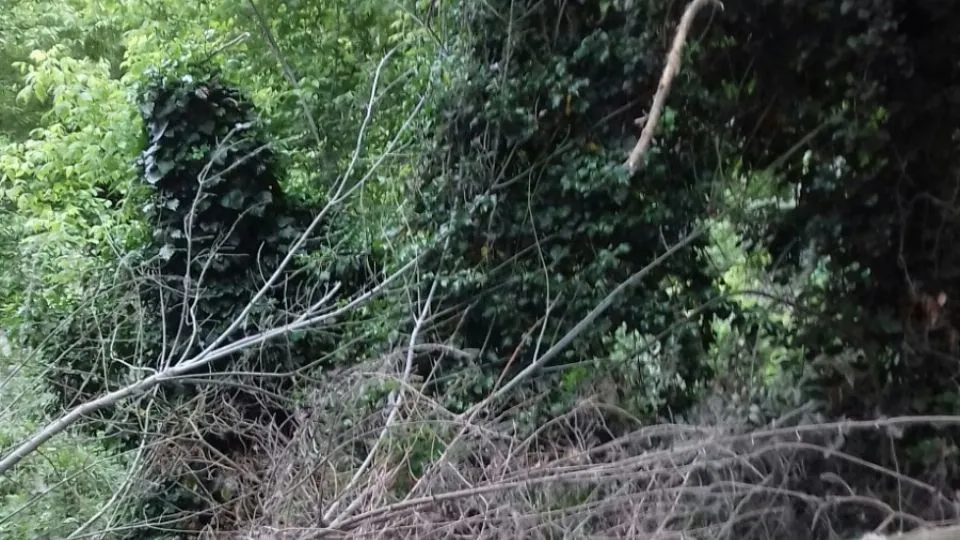 foto inviata dal lettore
