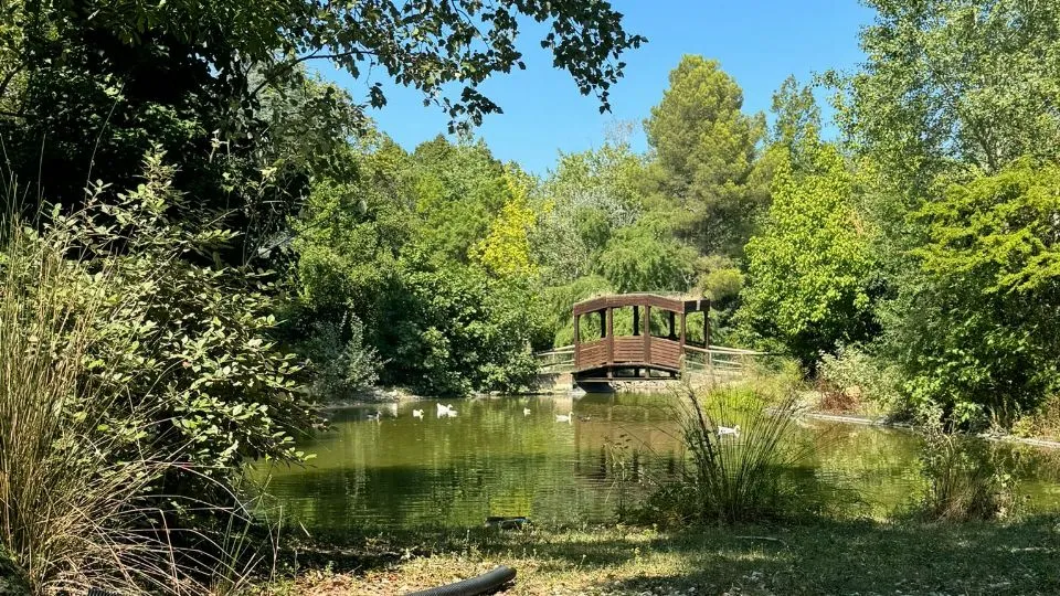 i laghetti del parco