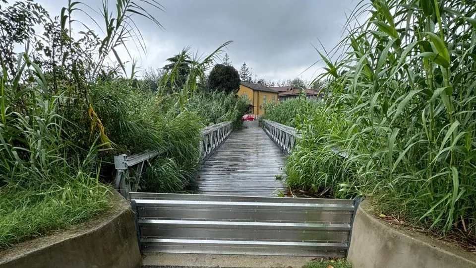 il ponte di San Vito
