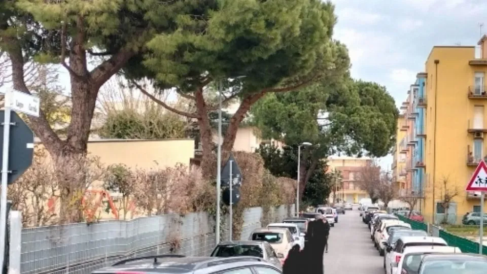 la via della scuola 
