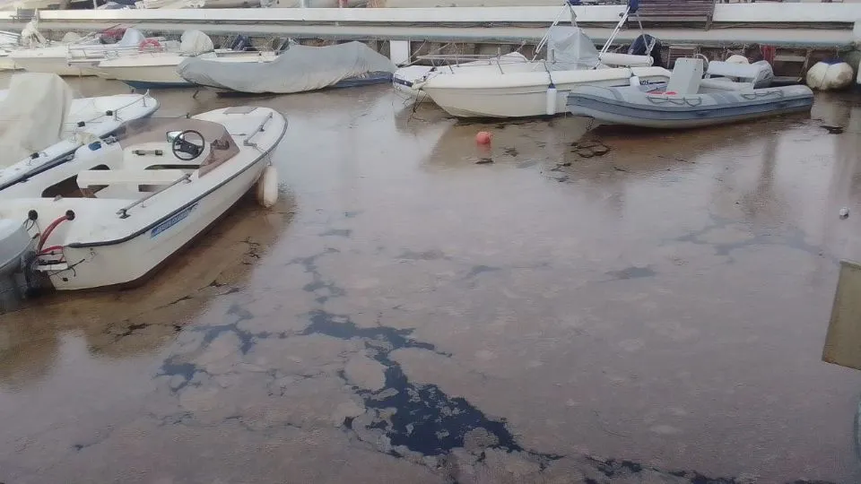 Rimini, estate 2024 (@newsrimini)
